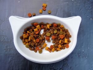 croquettes pour chat