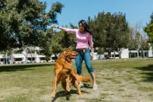 a woman plying with her pet dog at a park